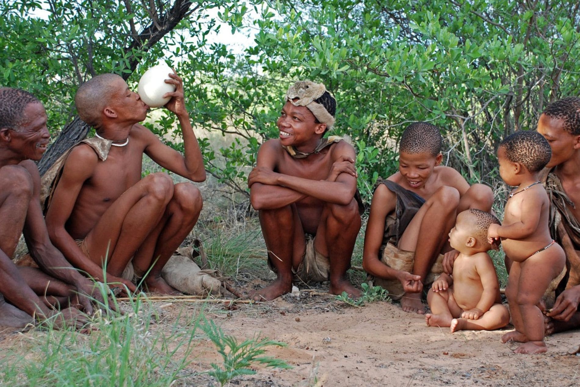 bushman_1